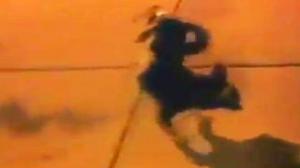 Watch Dog Pees With Style Video