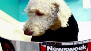 Watch Dog's Best Friend Video