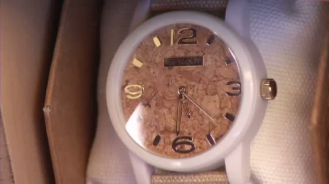 Watch New 'Green' Gadgets at Calif. Environmental Expo Video