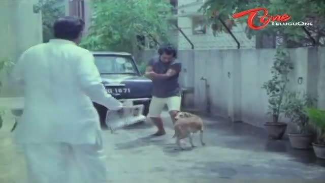 Watch Telugu Comedy Scene From Muggurammaila Mogudu Movie - Rallapalli Hilarious Dialogues With Dog - Telugu Cinema Movies Video
