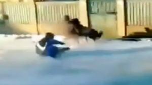 Watch Sled Crashes Into Gate Video