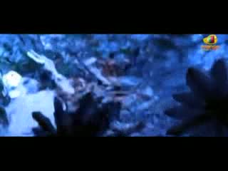 Watch Shriya - Mogudu Pellam O Dongodu Songs - Vayari Bhama Song - Brahmanandam, Raja - Telugu Cinema Movies Video