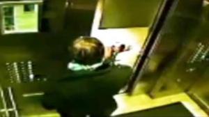 Watch Dog Vs Elevator Video