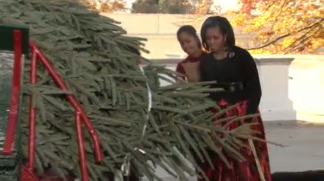 Watch Raw: White House Christmas Tree Arrives Video