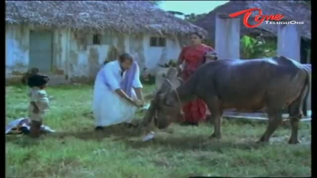 Watch Telugu Comedy Scene From Edurinti Mogudu Pakkinti Pellam Movie - NTR & ANR Songs While Milking Buffalo - Telugu Cinema Movies Video