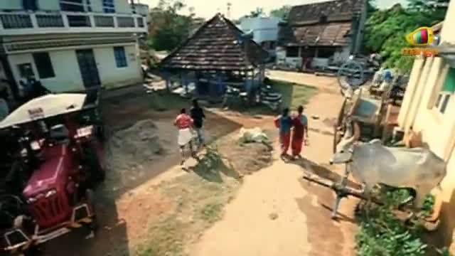 Watch Simha Putrudu Scenes - Dhanush & friends beating up villagers - Tamanna, Dhanush Video