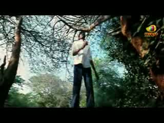 Watch Simha Putrudu Scenes - Dhanush trying to find some goons - Tamanna, Dhanush Video