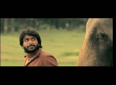 Watch Gajaraju - Aaiaao Song Trailer - Telugu Cinema Movies Video