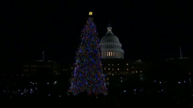 Watch Raw - Boehner Lights Christmas Tree at Capitol Video