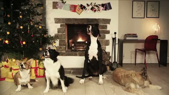 Watch Dogs Bark Jingle Bells Video