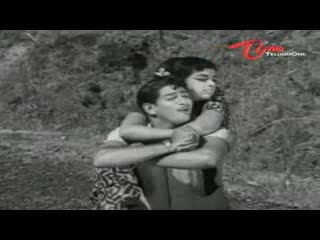 Watch Takkari Donga Chakkani Chukka Songs - Nee Nadakalu Chusthe - Krishna, Vijaya Nirmala - Telugu Cinema Movies Video
