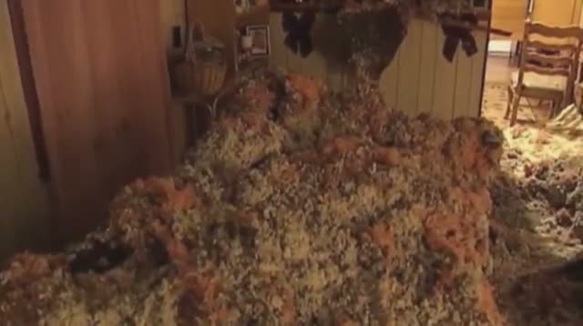 Watch Raw - Partial-roof Collapse During TV Interview Video