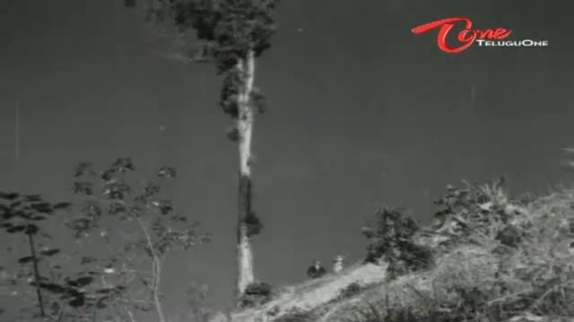 Watch Takkari Donga Chakkani Chukka Songs - O Kalalu Kane - Krishna, Vijaya Nirmala - Telugu Cinema Movies Video