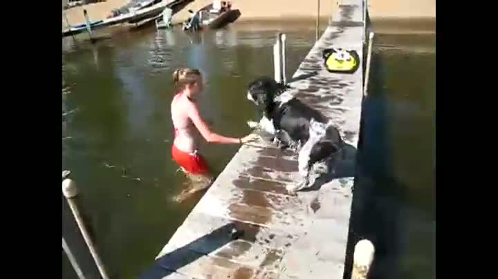 Watch Dog Fail Video