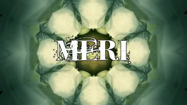Watch MERI JAAN JAAN-REMIX | PUNJABI OFFICIAL SONG PROMO | JAY STATUS & DJ SANJ Video