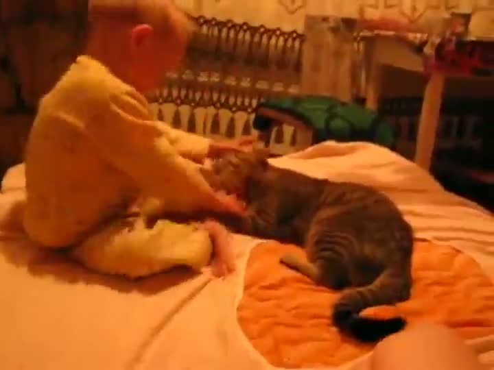 Watch Cat Fights With Kid Video