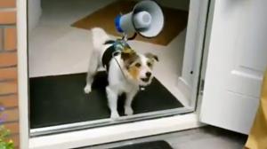 Watch How To Make Your Dog Sound Scarier Video