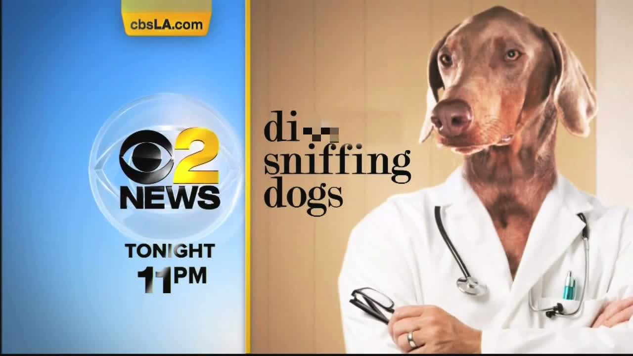 Watch This Year (2012) in Unnecessary Censorship Video