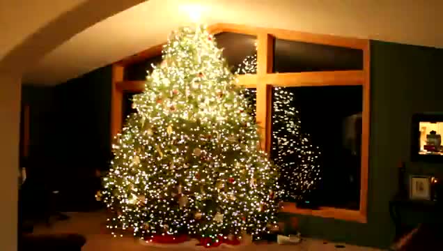 Watch Gangnam Style Christmas Tree Light Show - PSY - Wawra 2012 HD Video