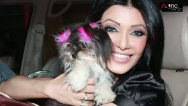 Watch Bollywood stars with their Pets Unseen Collection Video