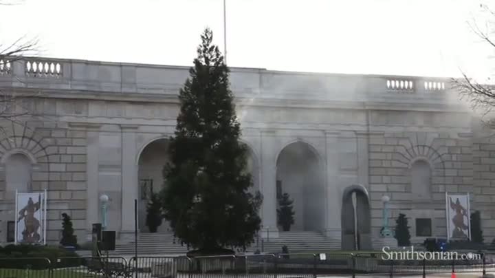 Watch The Best Christmas Tree Light Display Video