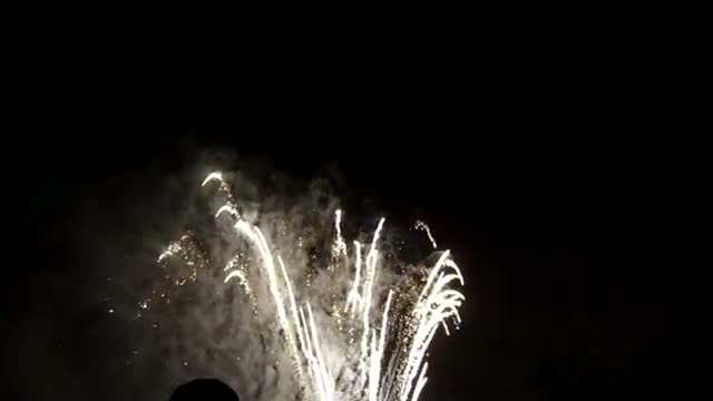 Watch Christmas Fireworks in the Backyard Video