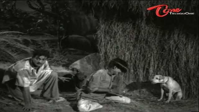 Watch Telugu Comedy Scene From Sobha Movie - Dog Scares NTR & His Servant - Telugu Cinema Movies Video