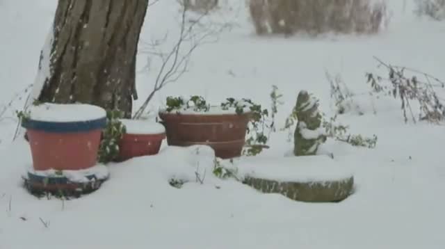 Watch Time-Lapse: Snow Covers Ohio Backyard Video