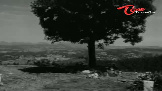 Watch Vaade Veedu Songs - Cheera Leni - NTR, Manjula - Telugu Cinema Movies Video