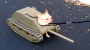 Watch Dog Tank Halloween Costume Video
