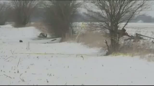 Watch Raw - Medical Helicopter Crash Scene Video