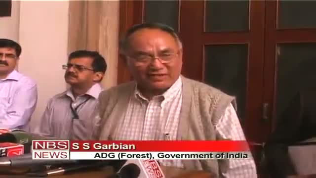 Watch Union Forest Ministry to probe Odisha elephant death Video