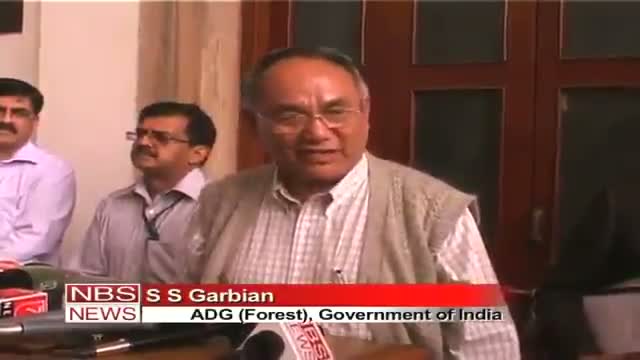 Watch Union Forest Ministry to probe Odisha elephant death video Video