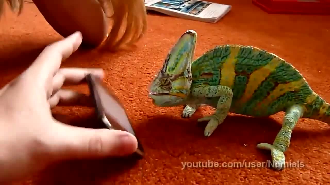 Watch Chameleon vs. iPhone Video
