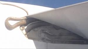 Watch Snake On The Wing Of An Airplane Video