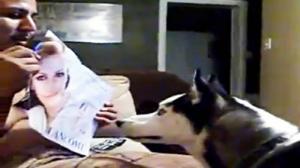 Watch Dog is Affraid of Julia Roberts Picture Video