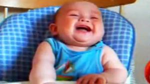 Watch Evolution of Laughing Video