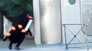 Watch Spider Saran Wrap Prank Video