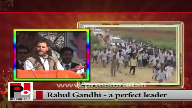 Watch Rahul Gandhi made Congress vice President Video
