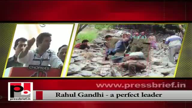 Watch Rahul Gandhi appointed as Congress vice President Video