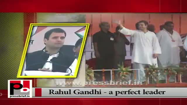 Watch Rahul Gandhi elevated as Congress vice President Video