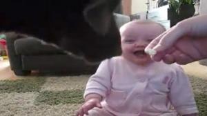 Watch Dog Eating Popcorn Cracks Baby Up Video