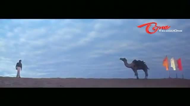Watch Viswam Movie Songs - Radha Radha Anuradha Song - Surya, Preeti - Telugu Cinema Movies Video