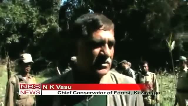 Watch Dead's Park; Kaziranga becomes poachers' game field Video