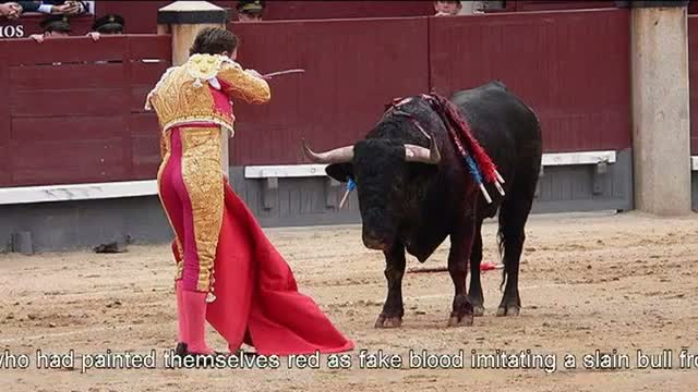 Watch Animal rights activists protest bullfighting in Mexico Video