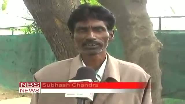 Watch Rudraksha finds habitat at Rohilkhand Video