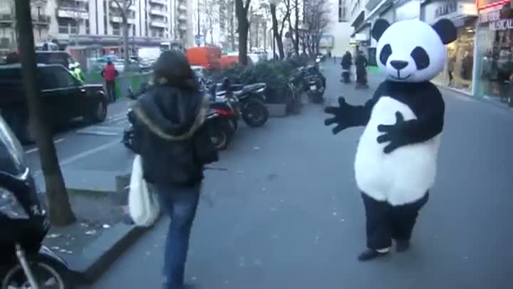 Watch This Panda Is A Wizard Video