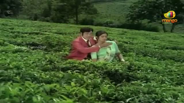Watch Muddula Koduku Movie Songs - Olole Nee Soku Song - ANR, Jayasudha, Sridevi - Telugu Cinema Movies Video