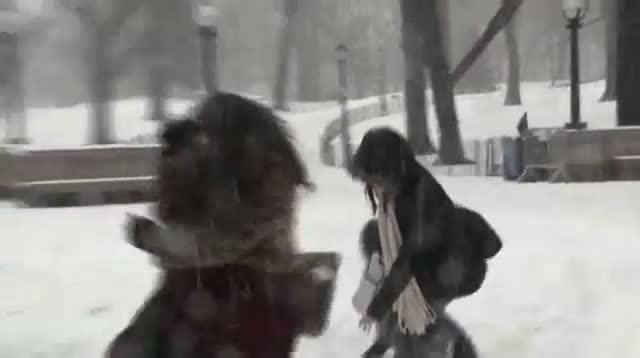 Watch Snowballs, Sledding in Central Park Snow Video