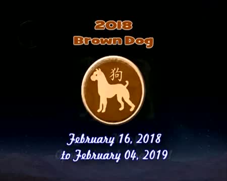 Watch Chinese New Year & Animal Signs For 2013 to 2024 Video